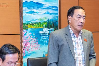 Thiết kế chính sách thuế hợp lý, tạo thuận lợi cho doanh nghiệp và hộ kinh doanh