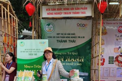 HTX Thành Thái và giấc mơ biến cây tre Tây Ninh thành hệ sinh thái kinh tế tuần hoàn