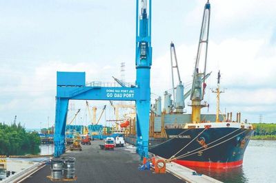 Cổ đông một doanh nghiệp cảng biển sắp nhận 111 tỷ đồng tiền cổ tức