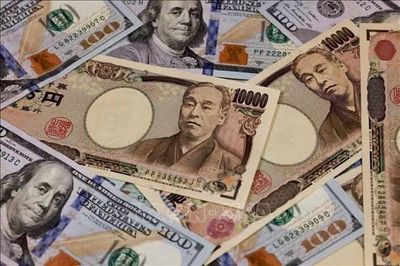 USD giao dịch sát đáy 3 tháng khi niềm tin của nhà đầu tư bị lung lay