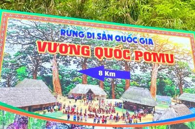 'Chạm' vào pơmu