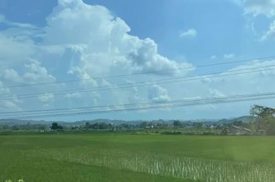Thời tiết các khu vực trong tỉnh ngày 22/8 đêm và sáng có mưa rào và dông, ngày trời nắng gián đoạn