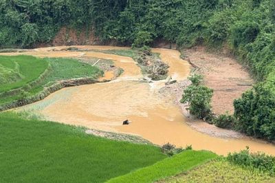 Tập trung ứng phó với áp thấp nhiệt đới có khả năng mạnh lên thành bão và mưa lớn trên địa bàn tỉnh