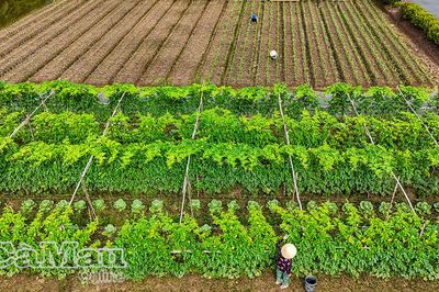 Một vùng đất, nhiều sinh kế