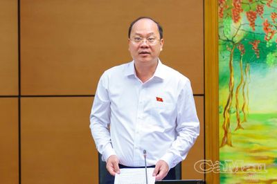 ĐBQH Cà Mau đề xuất mở rộng cơ chế lấn biển, bảo đảm môi trường và sinh kế