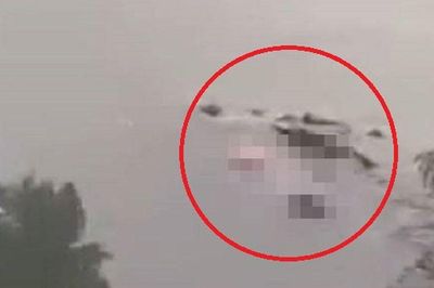 Bị cá sấu kéo xuống đáy sông, thiếu niên 15 tuổi thiệt mạng, thi thể được tìm thấy trong tình trạng thương tâm