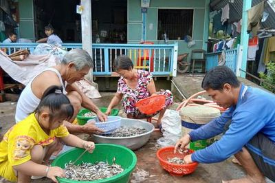 Tiếng rao cá linh giữa mùa nước gọi