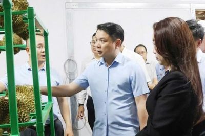 Tăng cường công tác truy xuất nguồn gốc sầu riêng xuất khẩu sang thị trường Trung Quốc