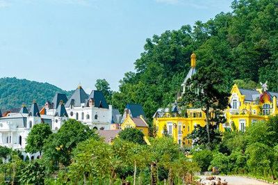 Không để vi phạm đất rừng thành 'sự đã rồi'!