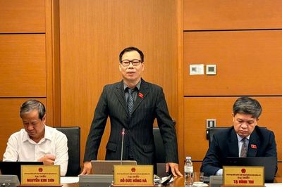 Không để ngưỡng doanh thu 10 tỷ đồng trở thành 'điểm gãy' chính sách