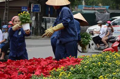Từ ngày mai, Hà Nội tổng lực chỉnh trang hạ tầng, bảo đảm giao thông thông suốt dịp Quốc khánh 2/9