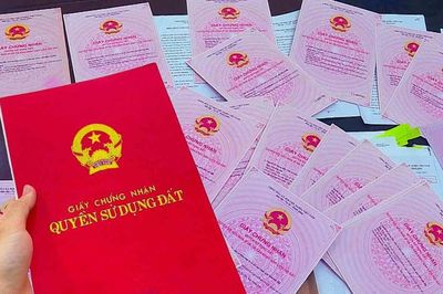 Mất luôn miếng đất vì thuê người quen làm sổ đỏ