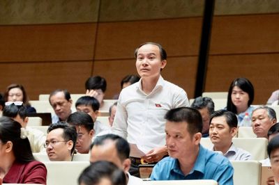 Đại biểu Quốc hội: Một quyết định sai về lấn biển có thể phải trả giá bằng cả một di sản