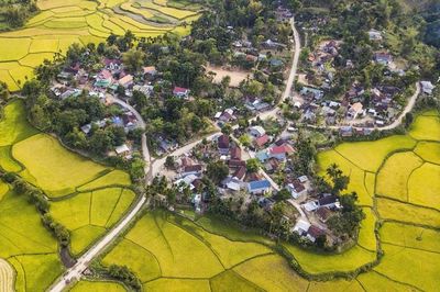 Giữ hồn văn hóa, tạo sinh kế bền vững cho đồng bào dân tộc thiểu số
