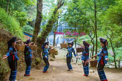 Khám phá 'Hương sắc Sim San' giữa mùa thu Y Tý