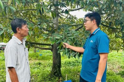 Chiến lược quản lý đồng bộ, bền vững cho nông sản