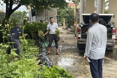 72 tổ chức, hộ gia đình xã Cẩm Lý được nhận cây giống trồng rừng phân tán