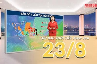 [Video] Dự báo thời tiết đêm nay và ngày mai 23/8/2026: Bão số 4 duy trì cấp 8, Bắc Bộ tiếp tục mưa lớn