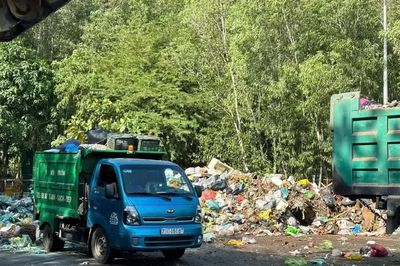 Vi phạm môi trường ở mức nào thì bị xử lý hình sự?