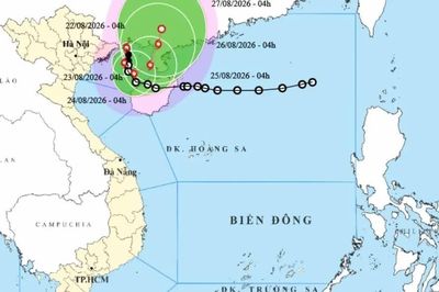 Bão số 4 vào vùng biển Quảng Ninh - Hải Phòng, có nơi mưa trên 600mm