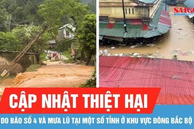 Mưa lũ do bão số 4 gây hư hỏng, ngập 300 căn nhà và hơn 1.000ha cây trồng