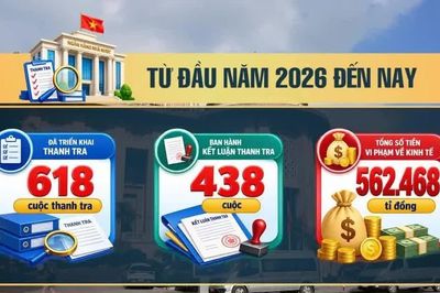 [SPOTLIGHT] Ngân hàng Nhà nước thanh tra hơn 600 cuộc, phanh phui 560 nghìn tỉ sai phạm