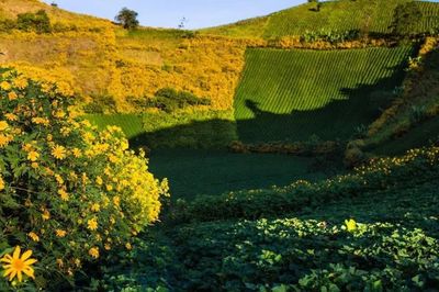 Festival hoành tráng nhân kỷ niệm 21 năm Cồng chiêng được UNESCO vinh danh
