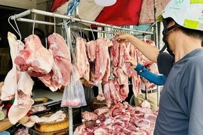 Giá heo hơi hôm nay 22/8: Xu hướng ấm dần lên, vùng giá dao động từ 56.000 - 58.000 đồng/kg