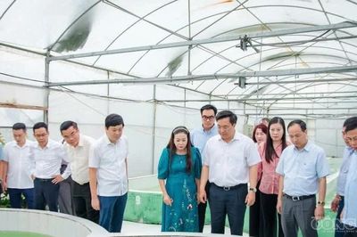 Chủ tịch UBND tỉnh Trần Duy Đông: Gỡ 'nút thắt' khó khăn, đưa nông nghiệp Phú Thọ vươn tầm sinh thái