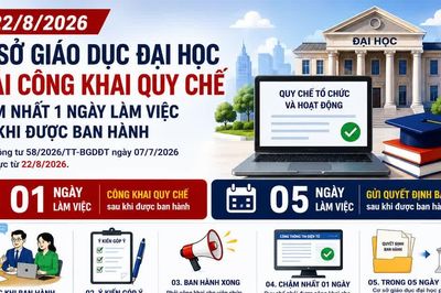 Từ 22/8/2026: Cơ sở giáo dục đại học phải công khai quy chế trong 1 ngày
