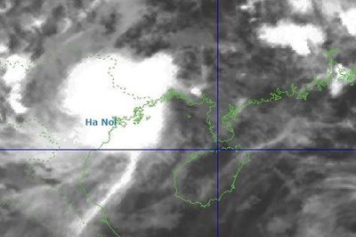 Cập nhật mới nhất về bão số 4