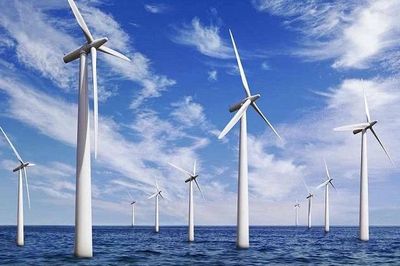 Cà Mau tăng tốc phát triển năng lượng xanh với 4 dự án điện gió