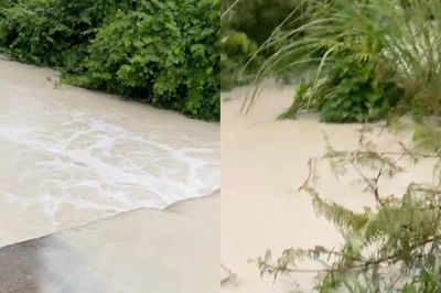 Khe nước bỗng hóa 'dòng sữa lạ', nồng nặc mùi hôi sau mỗi trận mưa