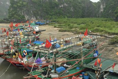 Ảnh hưởng bão số 4, Quảng Ninh tạm ngừng cấp phép tàu ra khơi