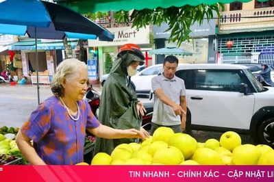 Bưởi Phúc Trạch đầu mùa... xuống phố