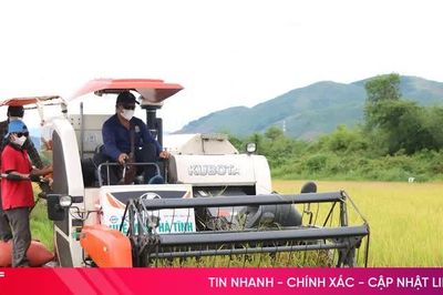 Sau mưa lớn, nông dân Hà Tĩnh hối hả thu hoạch gọn lúa hè thu