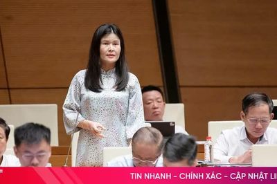 Đại biểu Quốc hội tỉnh Hà Tĩnh góp ý về dự án Luật Ngân sách nhà nước