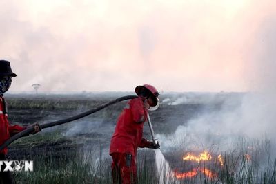 Indonesia huy động 52 máy bay ứng phó tình trạng cháy rừng tại 6 tỉnh