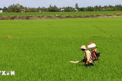 Cần Thơ: Quảng bá văn minh lúa nước qua Festival Quốc tế Lúa gạo Việt Nam