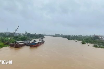 Chủ động hỗ trợ người dân phòng, chống bão số 4
