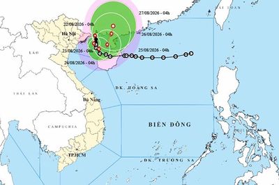Thời tiết ngày 22/8: Bão số 4 gây mưa đặc biệt lớn tại Quảng Ninh, Hải Phòng