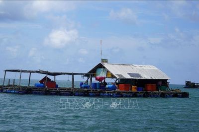Nghị quyết 20-NQ/TW: Đầu tư công nghệ, liên kết chuỗi để nâng tầm nghề nuôi biển