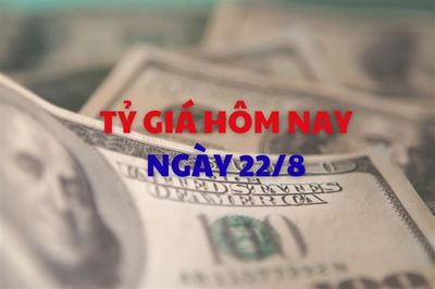 Tỷ giá hôm nay 22/8: Giá USD tăng nhẹ