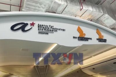 Việt Nam-Singapore và bài học nguyên lý thích ứng với bùng nổ công nghệ