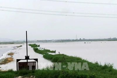 Bắc Ninh phát lệnh báo động lũ trên sông Thương, sông Lục Nam