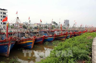 Ứng phó bão số 4: Hưng Yên cấm biển, toàn bộ 1.239 tàu thuyền đã vào bến an toàn