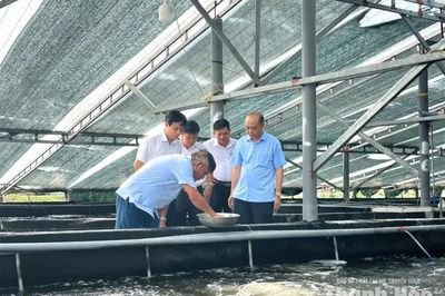 Điểm tựa để hội viên nông dân khởi nghiệp