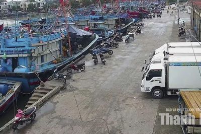 Khẩn trương kêu gọi tàu thuyền vào nơi tránh trú bão