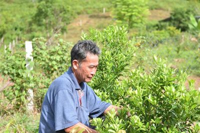 Đà Nẵng hỗ trợ nông dân phát triển các giống cây trồng mới