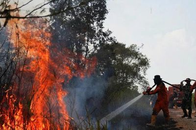 Indonesia triển khai máy bay, mưa nhân tạo dập tắt cháy rừng